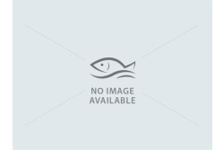 Tasty Handmade Breaded Prawns - Pack [8 pcs]